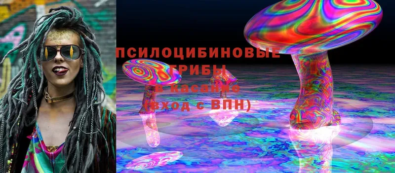 Галлюциногенные грибы Cubensis  как найти закладки  Вологда 